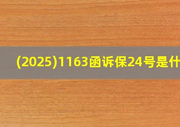 (2025)1163函诉保24号是什么