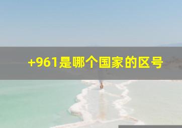 +961是哪个国家的区号