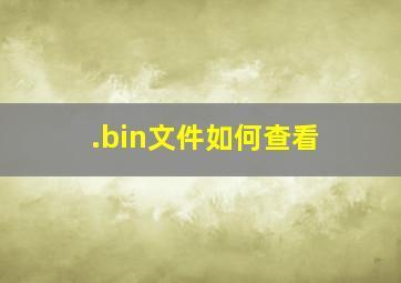 .bin文件如何查看