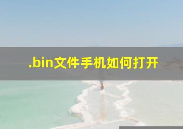 .bin文件手机如何打开