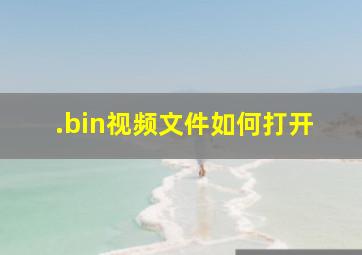 .bin视频文件如何打开