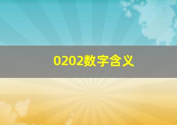 0202数字含义