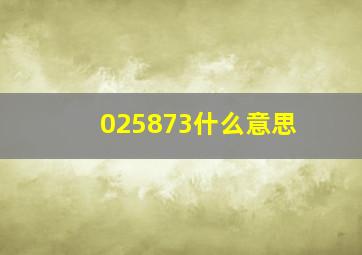 025873什么意思