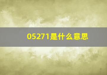 05271是什么意思