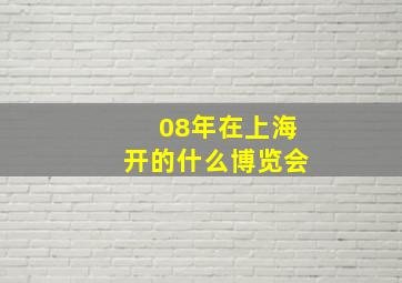 08年在上海开的什么博览会