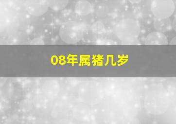 08年属猪几岁