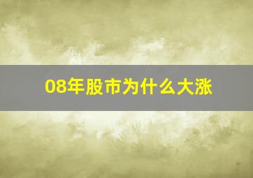 08年股市为什么大涨