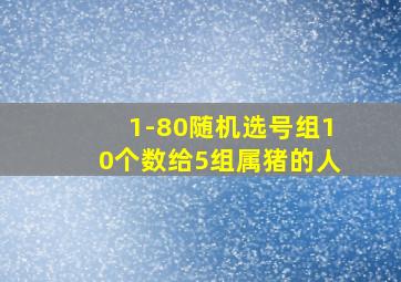 1-80随机选号组10个数给5组属猪的人