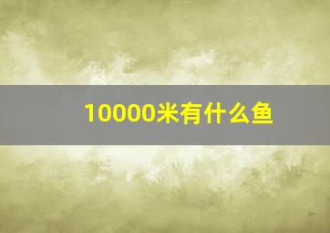 10000米有什么鱼