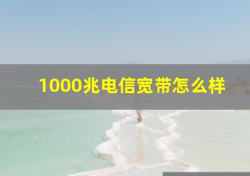 1000兆电信宽带怎么样