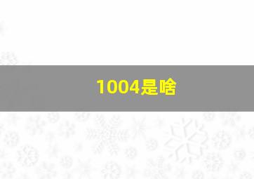 1004是啥