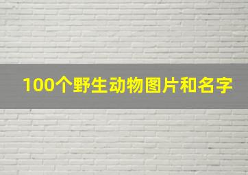 100个野生动物图片和名字