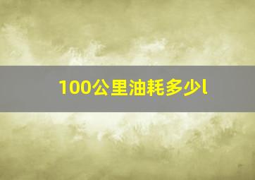 100公里油耗多少l