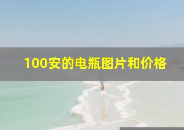 100安的电瓶图片和价格