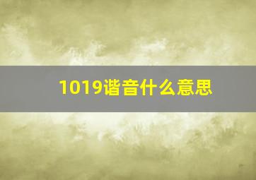 1019谐音什么意思