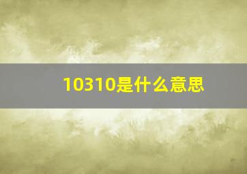 10310是什么意思