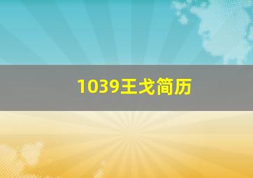 1039王戈简历