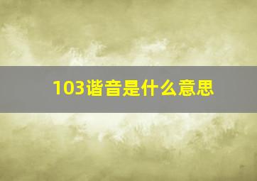 103谐音是什么意思