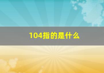 104指的是什么