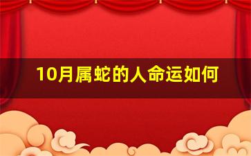 10月属蛇的人命运如何