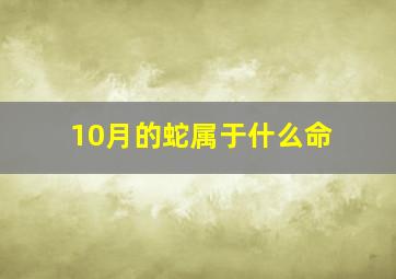 10月的蛇属于什么命