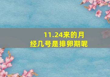 11.24来的月经几号是排卵期呢