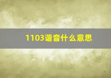 1103谐音什么意思