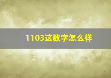 1103这数字怎么样