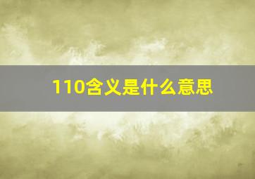 110含义是什么意思