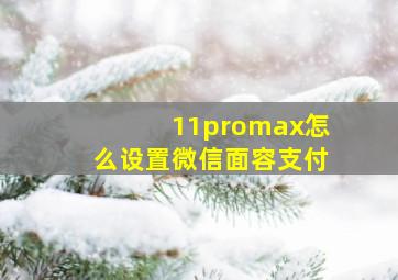 11promax怎么设置微信面容支付