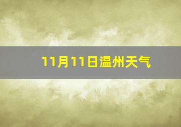 11月11日温州天气