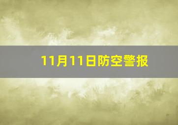 11月11日防空警报