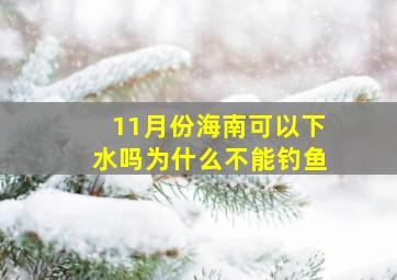 11月份海南可以下水吗为什么不能钓鱼