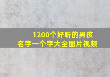 1200个好听的男孩名字一个字大全图片视频