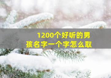 1200个好听的男孩名字一个字怎么取