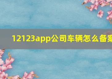 12123app公司车辆怎么备案