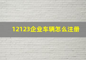 12123企业车辆怎么注册