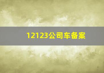 12123公司车备案