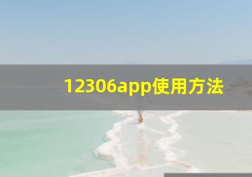 12306app使用方法