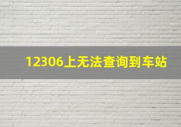 12306上无法查询到车站