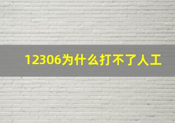 12306为什么打不了人工