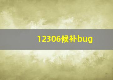 12306候补bug