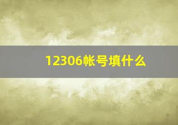 12306帐号填什么