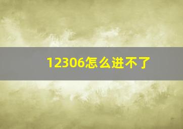 12306怎么进不了