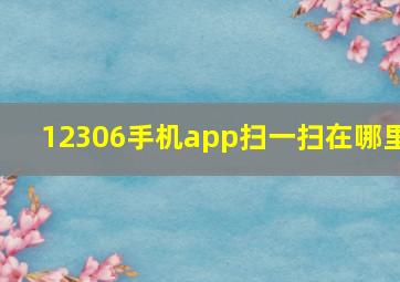 12306手机app扫一扫在哪里