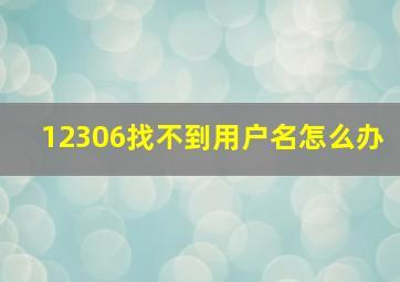 12306找不到用户名怎么办