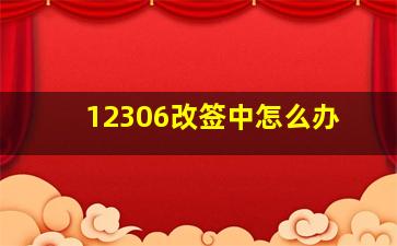 12306改签中怎么办