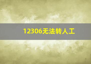 12306无法转人工