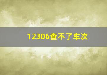 12306查不了车次