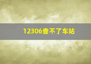 12306查不了车站